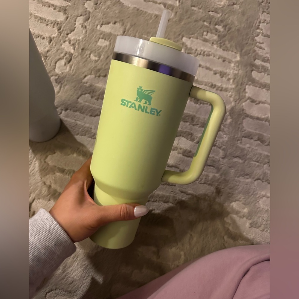 Stanley 40z green